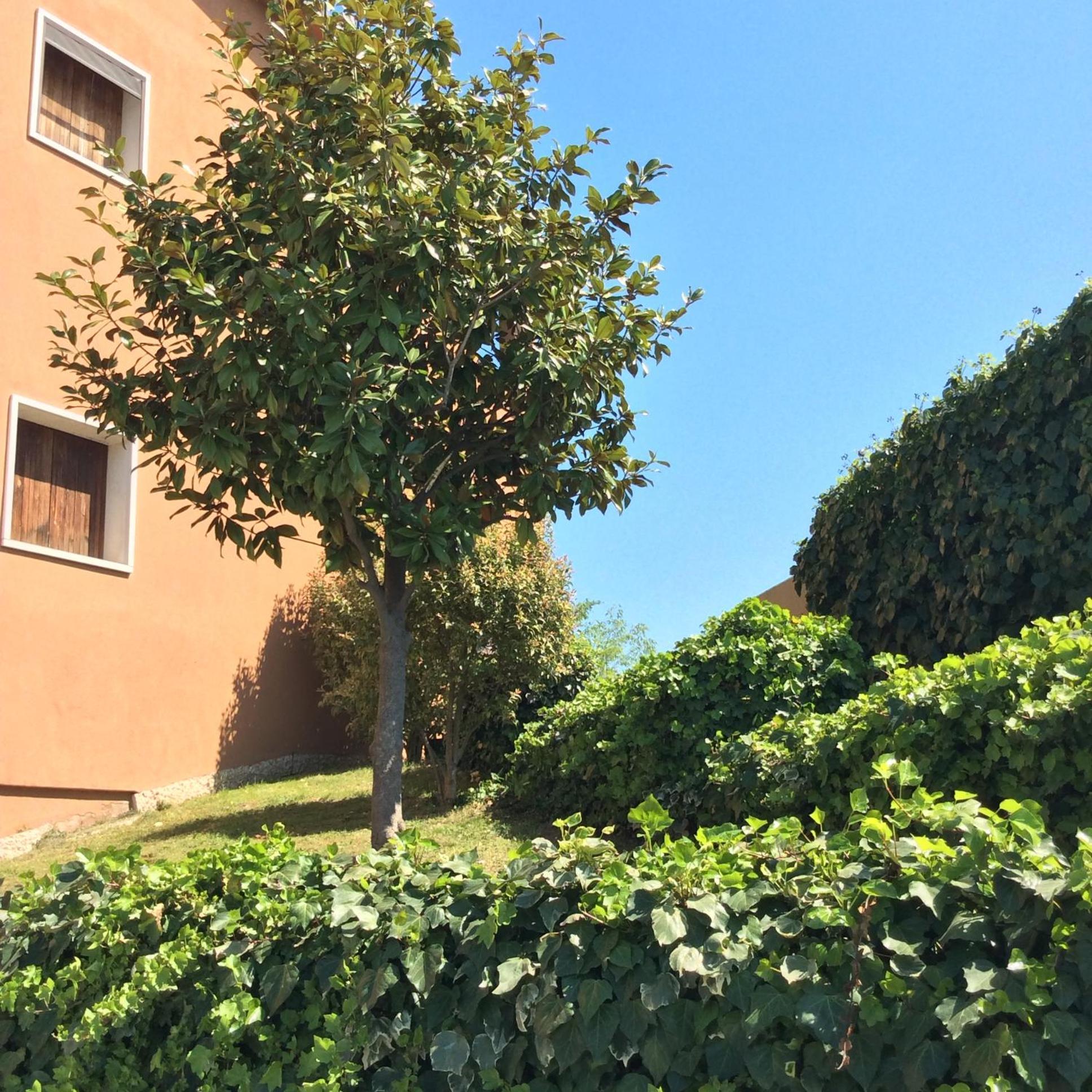 Appartamento Filippo Castelnuovo del Garda Bagian luar foto